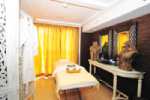 AmaLyra Gallery Image